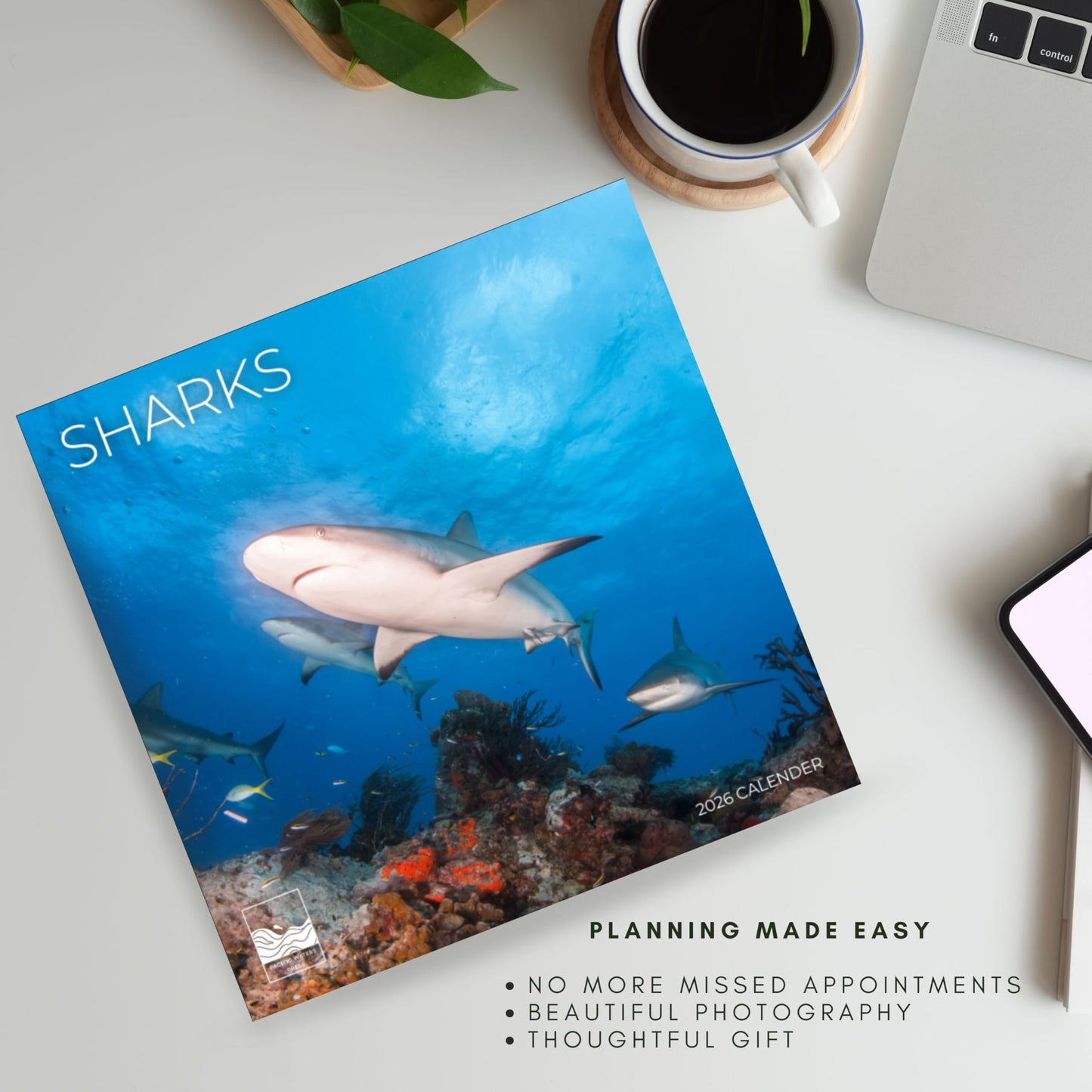 '26 Wall Calendar - Nature
