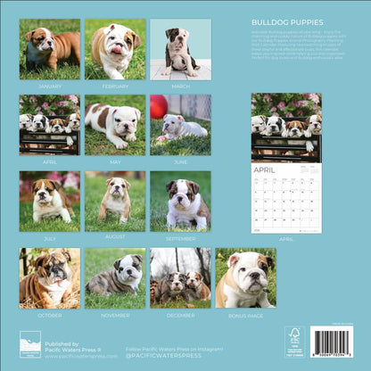'26 Wall Calendar - Dogs