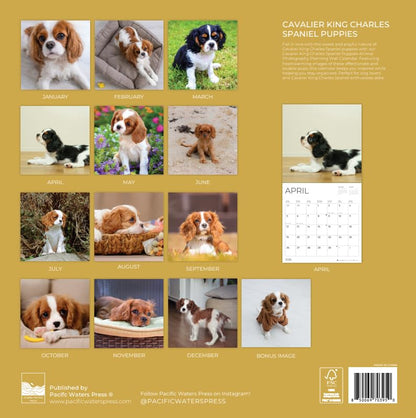 '26 Wall Calendar - Dogs