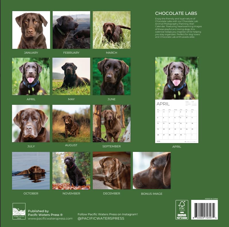 '26 Wall Calendar - Dogs
