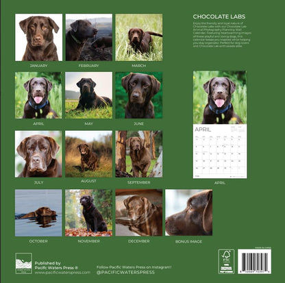 '26 Wall Calendar - Dogs