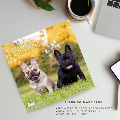 '26 Wall Calendar - Dogs - 18mo
