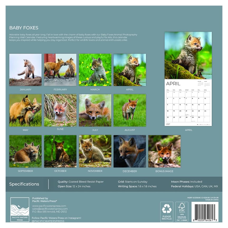 '27 Wall Calendar - Baby Foxes
