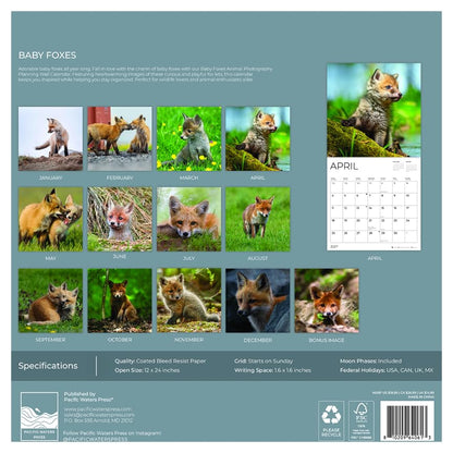 '27 Wall Calendar - Baby Foxes