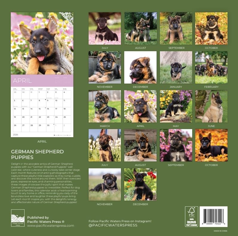 '26 Wall Calendar - Dogs - 18mo