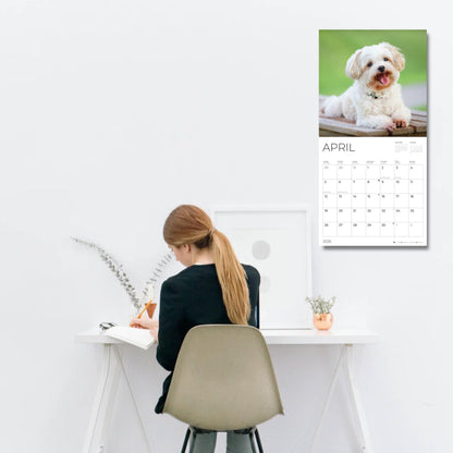 '26 Wall Calendar - Dogs