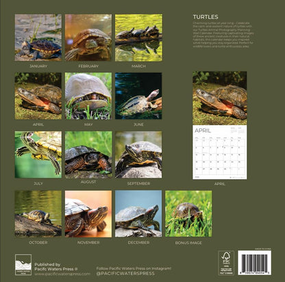 '26 Wall Calendar - Nature