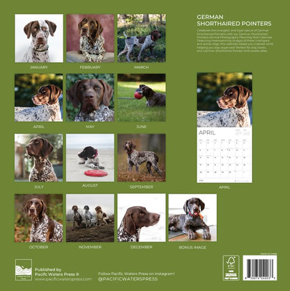 '26 Wall Calendar - Dogs