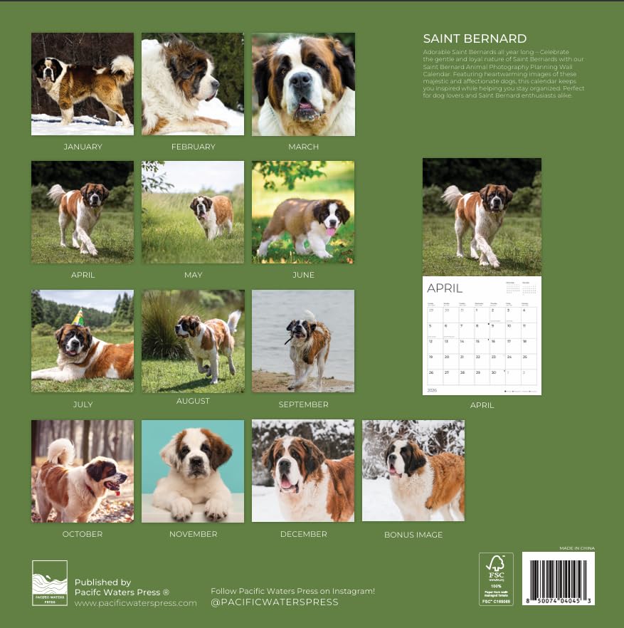 '26 Wall Calendar - Dogs