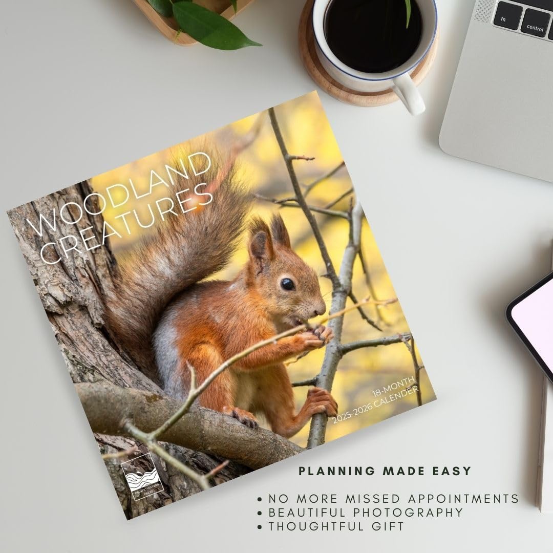 '26 Wall Calendar - Cows, Owls, & Woodland Creatures