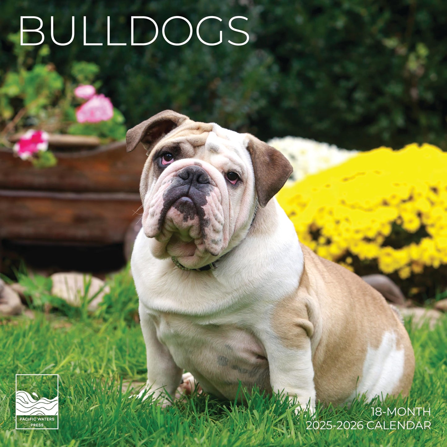 '26 Wall Calendar - Dogs - 18mo