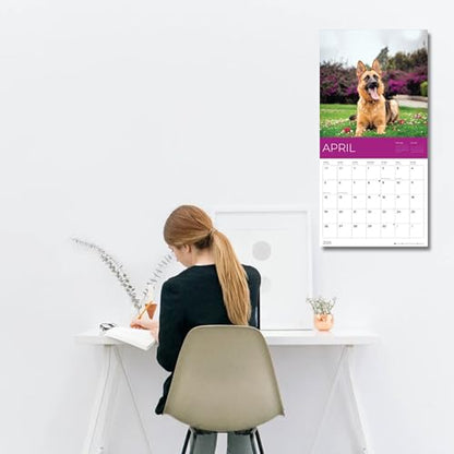 '26 Wall Calendar - Dogs - 18mo