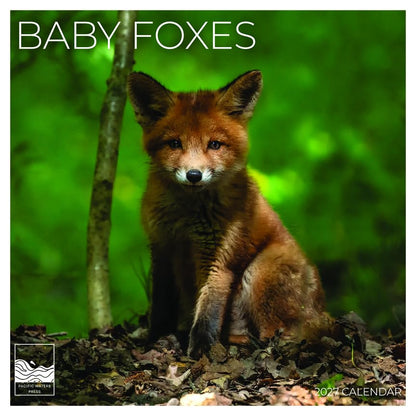 '27 Wall Calendar - Baby Foxes