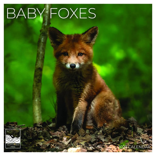 '27 Wall Calendar - Baby Foxes