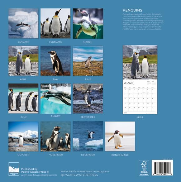 '26 Wall Calendar - Nature