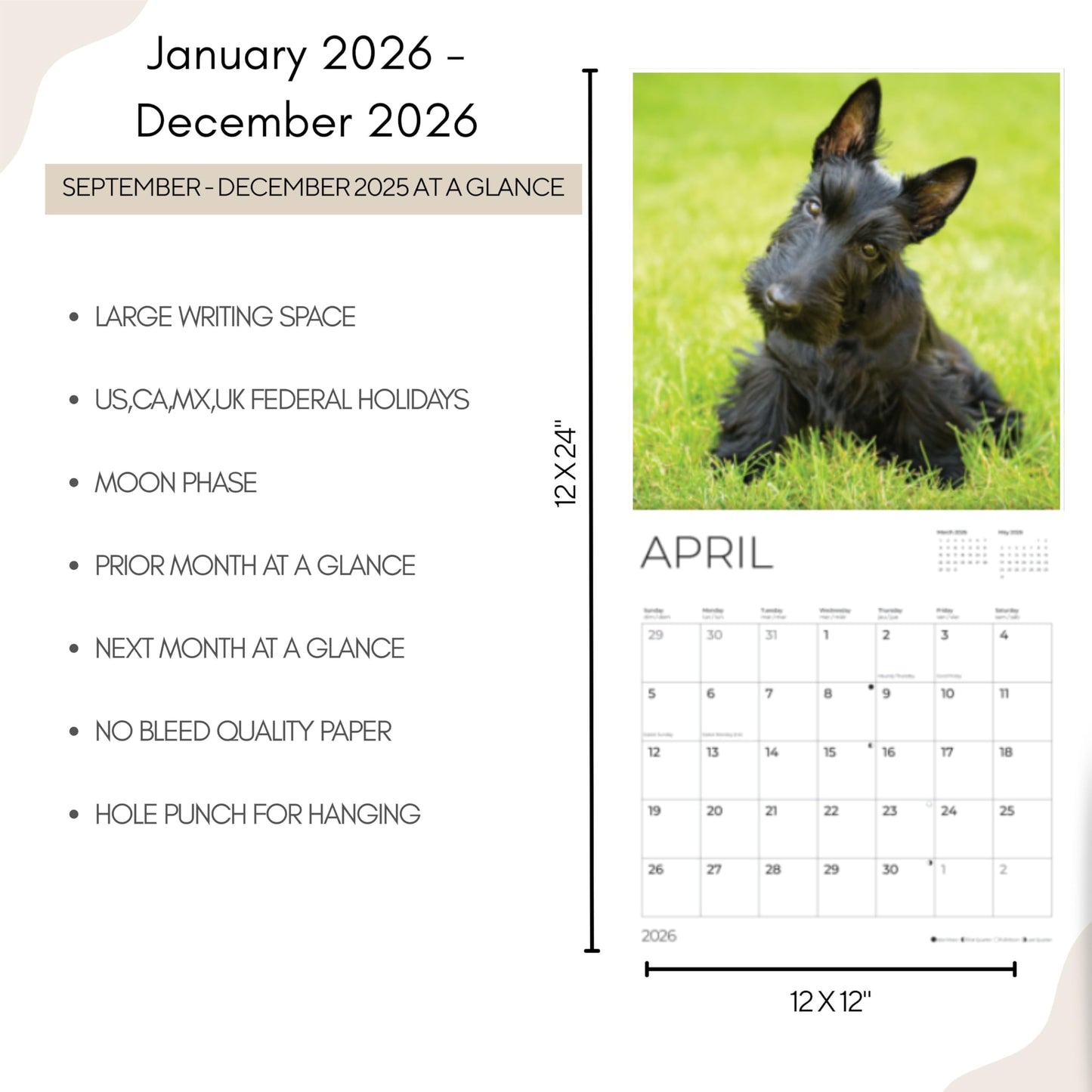 '26 Wall Calendar - Dogs