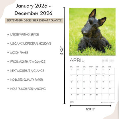 '26 Wall Calendar - Dogs