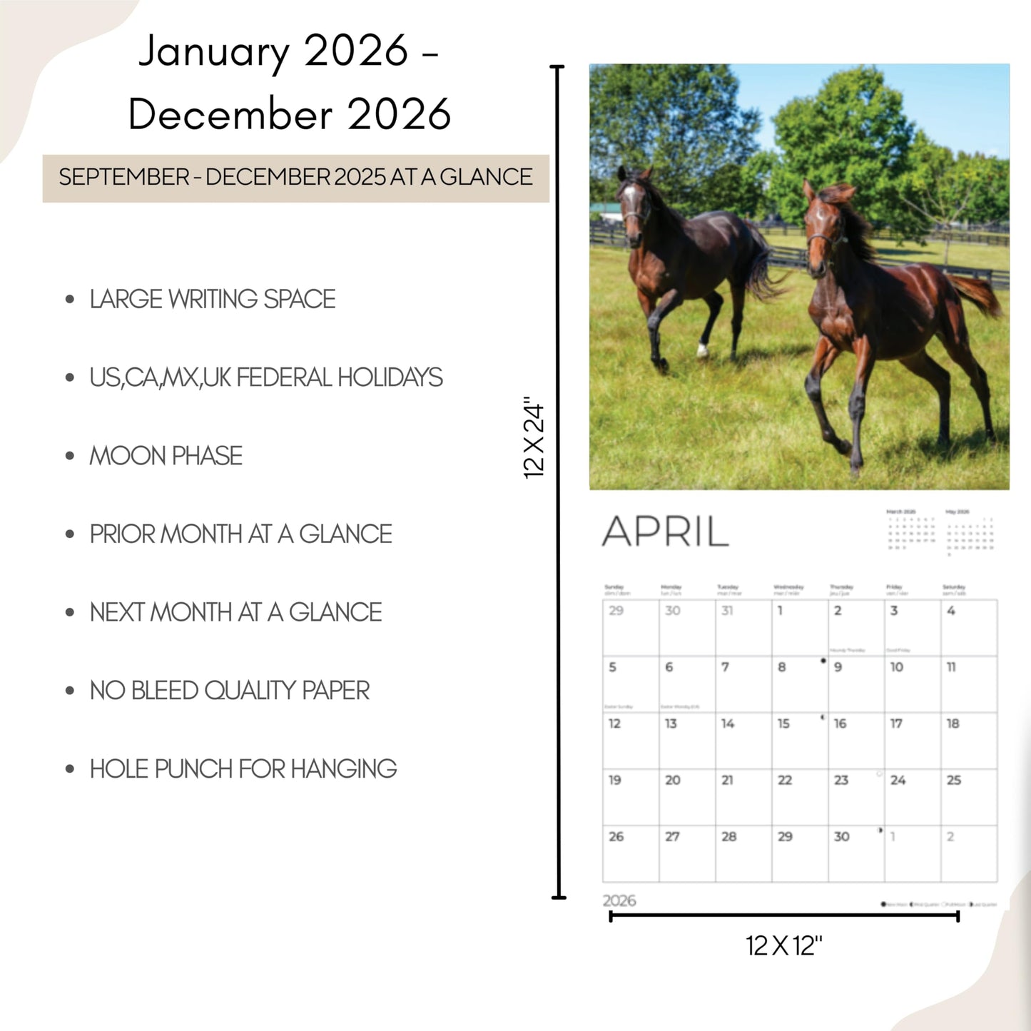 '26 Wall Calendar - Baby Animals