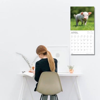 '26 Wall Calendar - Baby Animals