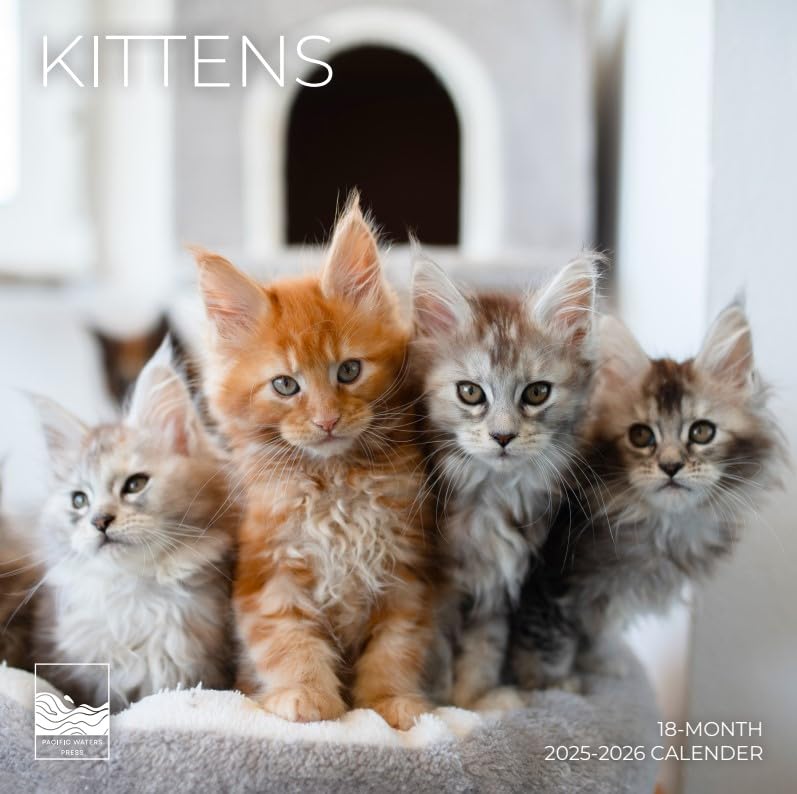'26 Wall Calendar - Animals - 18mo