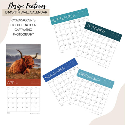 '26 Wall Calendar - Cows, Owls, & Woodland Creatures