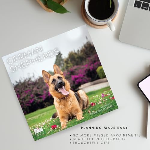 '26 Wall Calendar - Dogs - 18mo