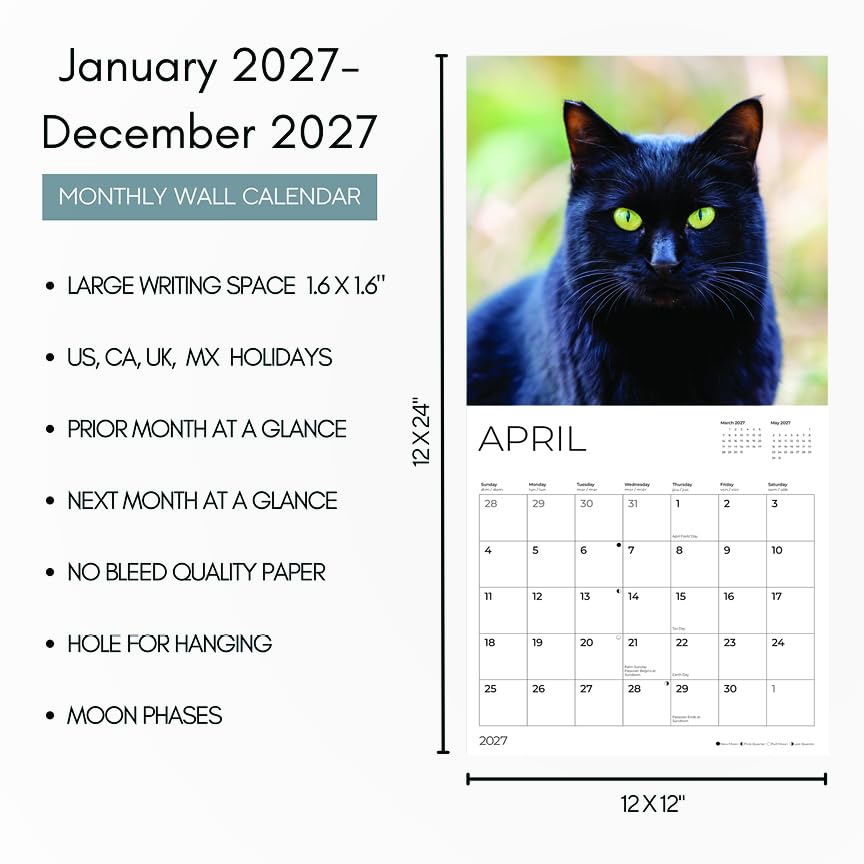 '27 Wall Calendar - Black Cats
