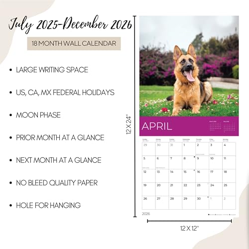 '26 Wall Calendar - Dogs - 18mo
