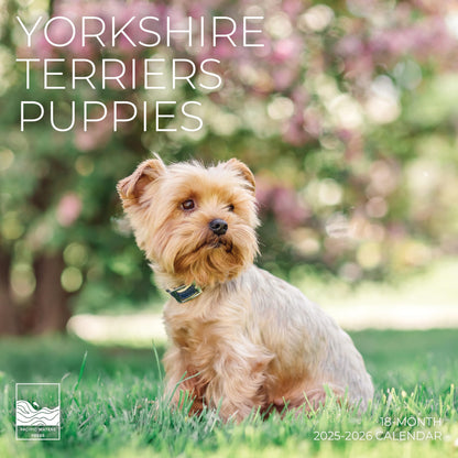 '26 Wall Calendar - Dogs - 18mo