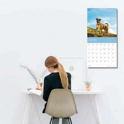 '26 Wall Calendar - Dogs - 18mo