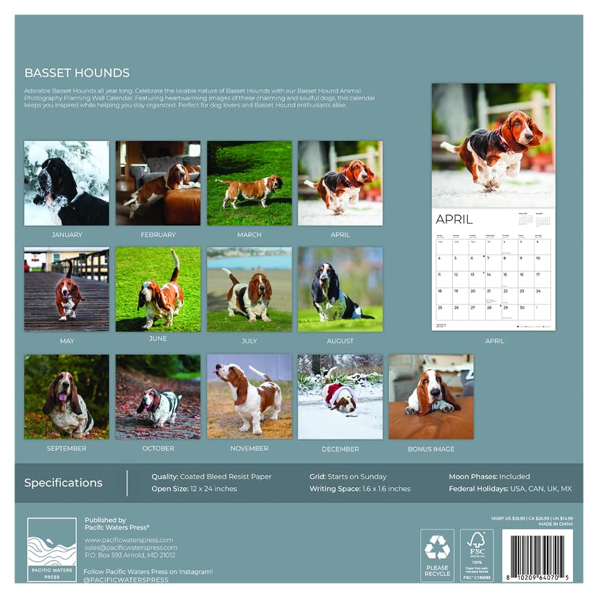 '27 Wall Calendar - Basset Hounds