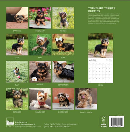 '26 Wall Calendar - Dogs