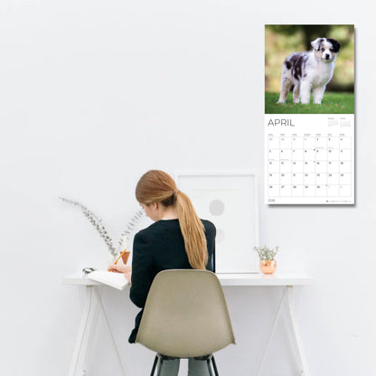 '26 Wall Calendar - Dogs