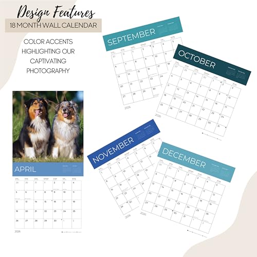 '26 Wall Calendar - Dogs - 18mo