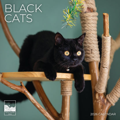 '26 Wall Calendar - Cats & Kittens