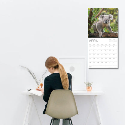 '26 Wall Calendar - Baby Animals