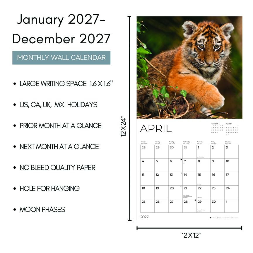 '27 Wall Calendar - Baby Big Cats
