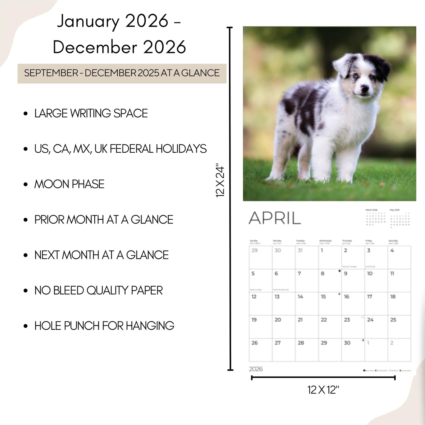 '26 Wall Calendar - Dogs