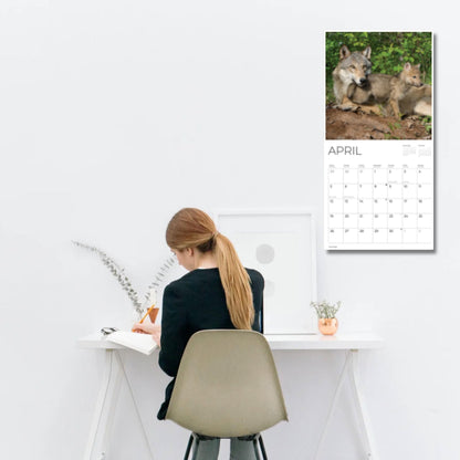 '26 Wall Calendar - Baby Animals