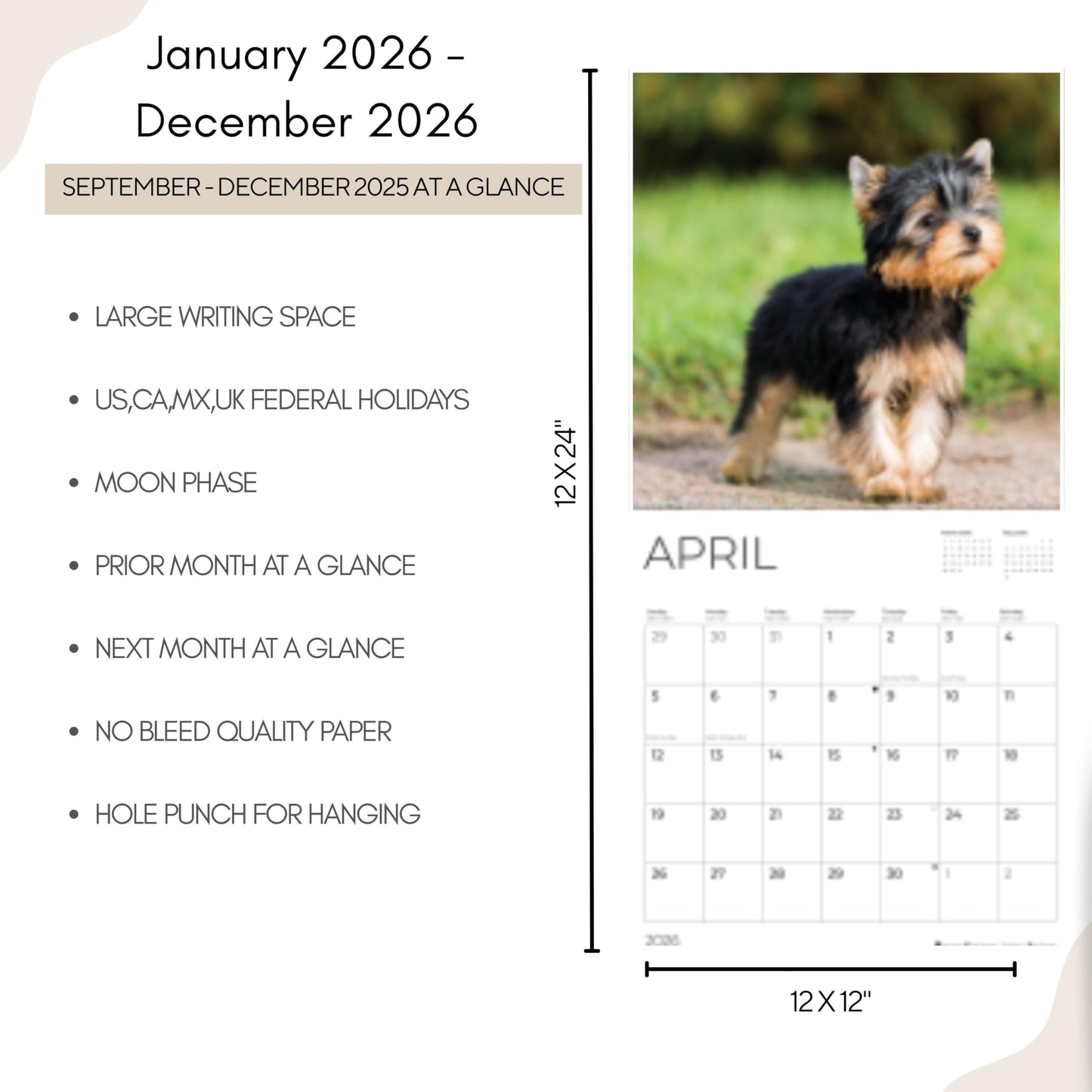 '26 Wall Calendar - Dogs