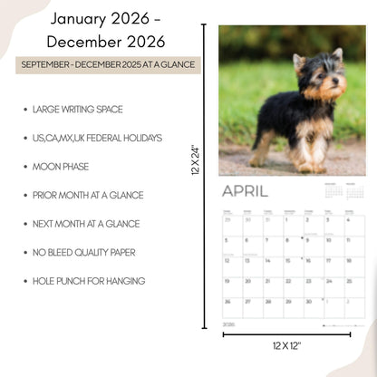 '26 Wall Calendar - Dogs