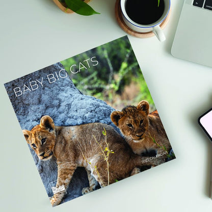 '27 Wall Calendar - Baby Big Cats