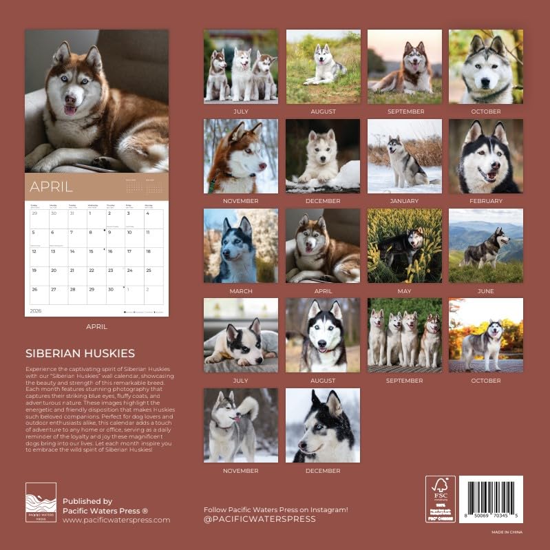 '26 Wall Calendar - Dogs - 18mo