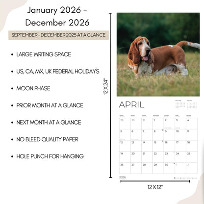 '26 Wall Calendar - Dogs