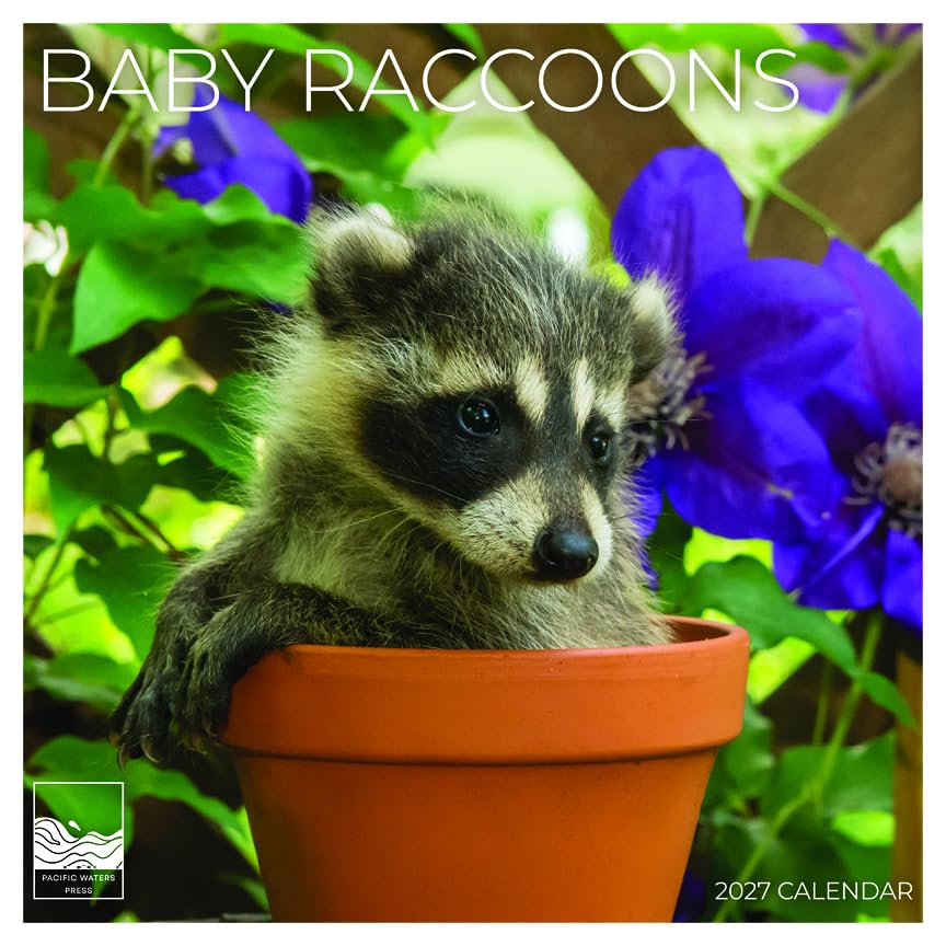'27 Wall Calendar - Baby Raccoons
