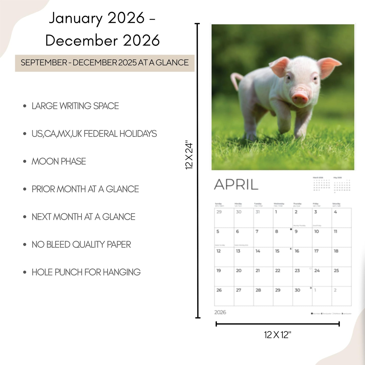 '26 Wall Calendar - Baby Animals