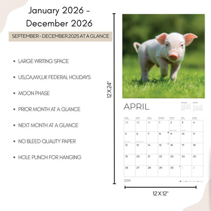 '26 Wall Calendar - Baby Animals