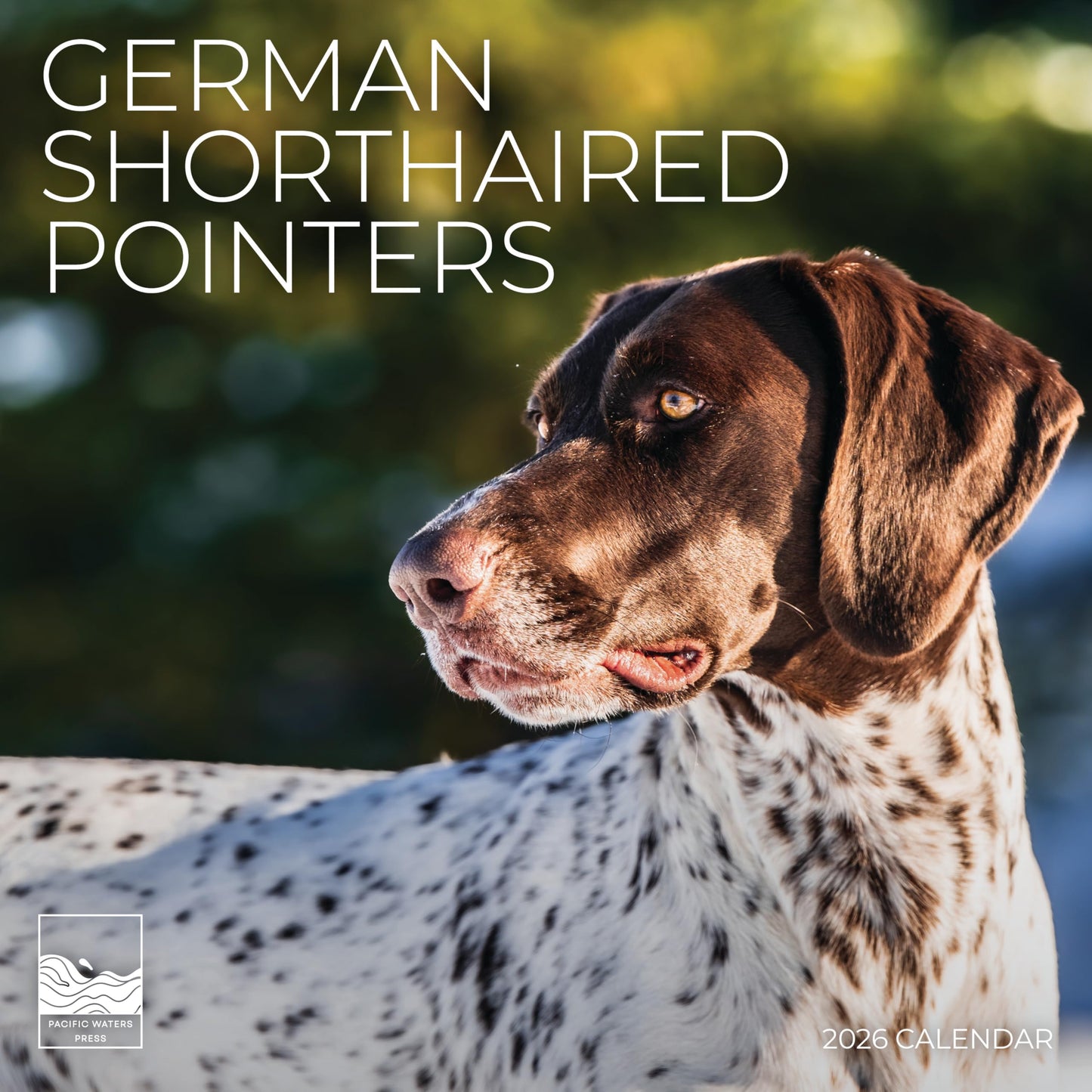 '26 Wall Calendar - Dogs