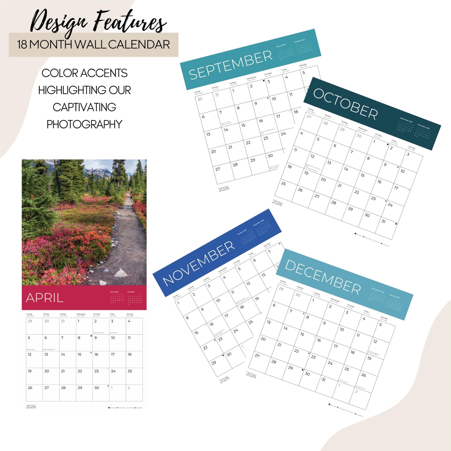 '26 Wall Calendar - Forest Trails - 18mo