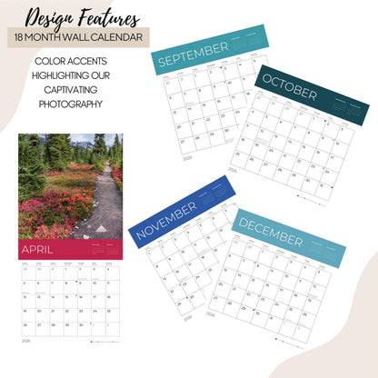 '26 Wall Calendar - Forest Trails - 18mo